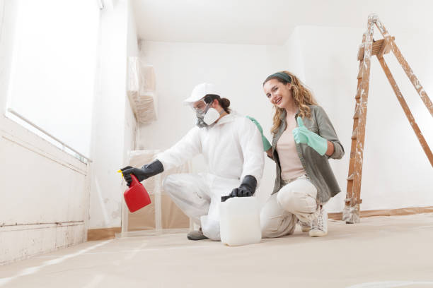 Trusted Terre Haute, IN Mold Removal Experts